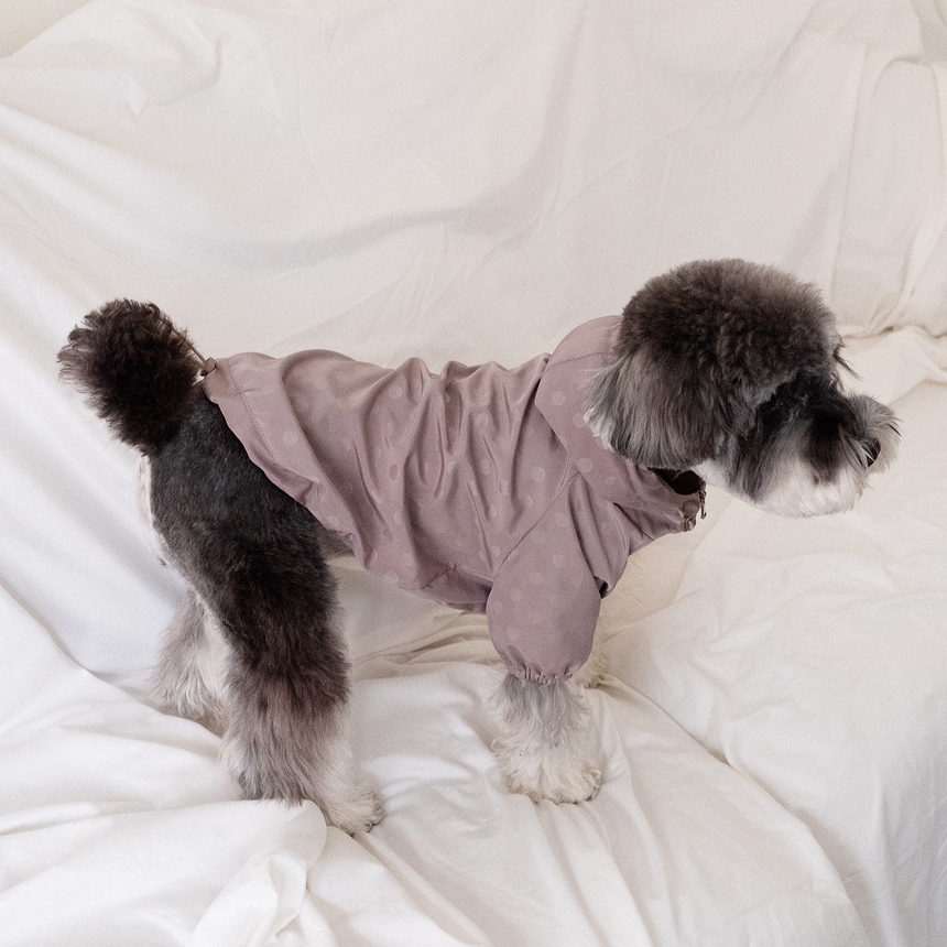 【予約】シリアル ウィンドブレーカー