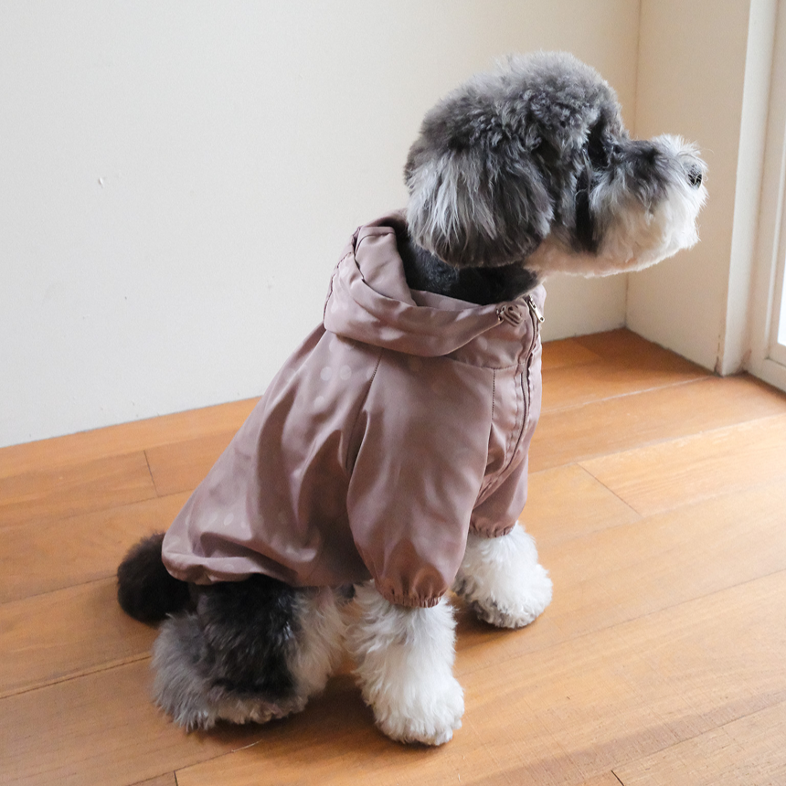 【予約】シリアル ウィンドブレーカー