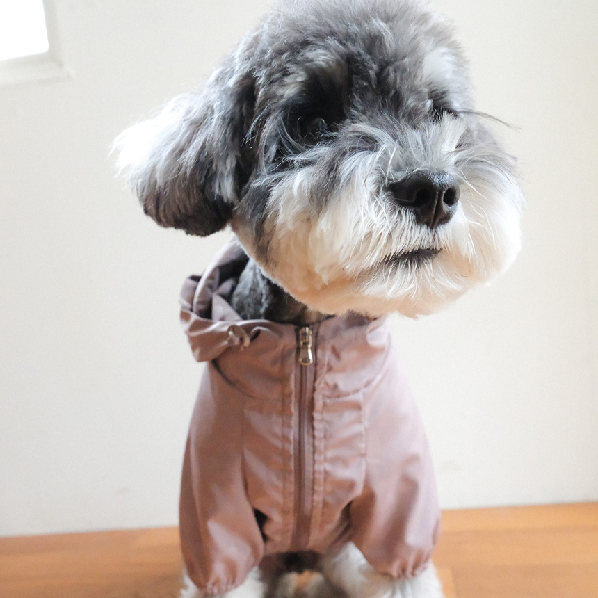 【予約】シリアル ウィンドブレーカー