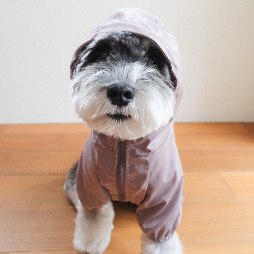 【予約】シリアル ウィンドブレーカー