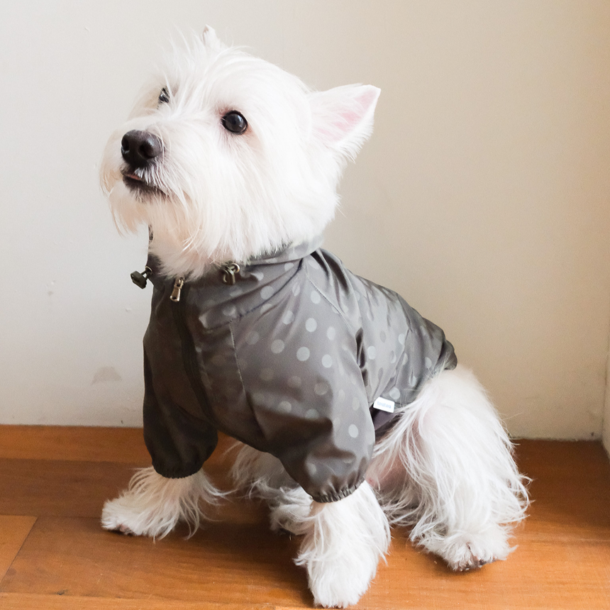 【予約】シリアル ウィンドブレーカー