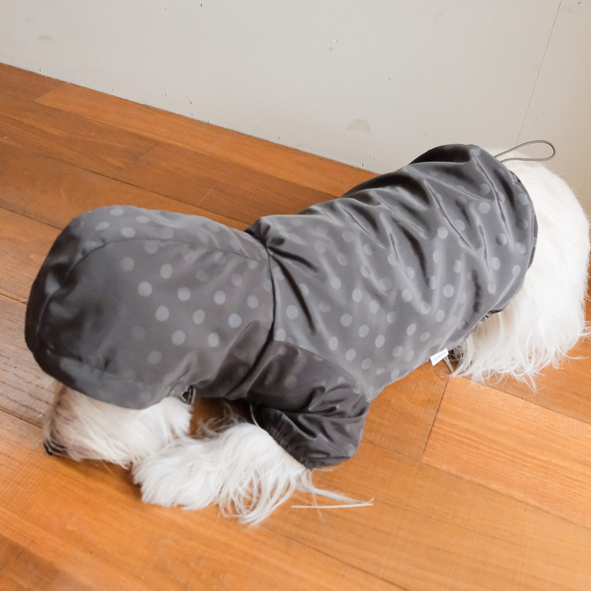 【予約】シリアル ウィンドブレーカー