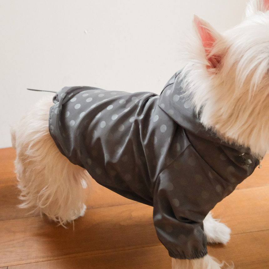 【予約】シリアル ウィンドブレーカー