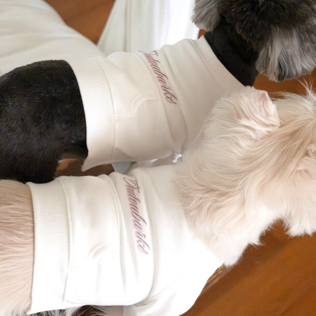 【予約】シグネチャー スウェットシャツ