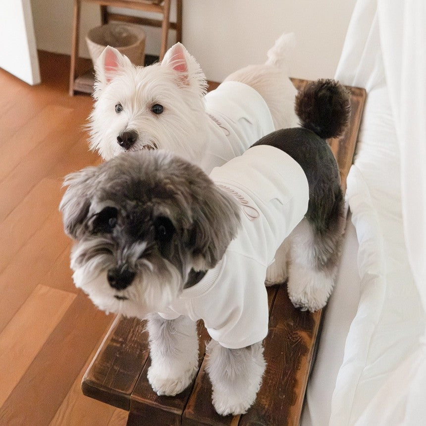 【予約】シグネチャー スウェットシャツ