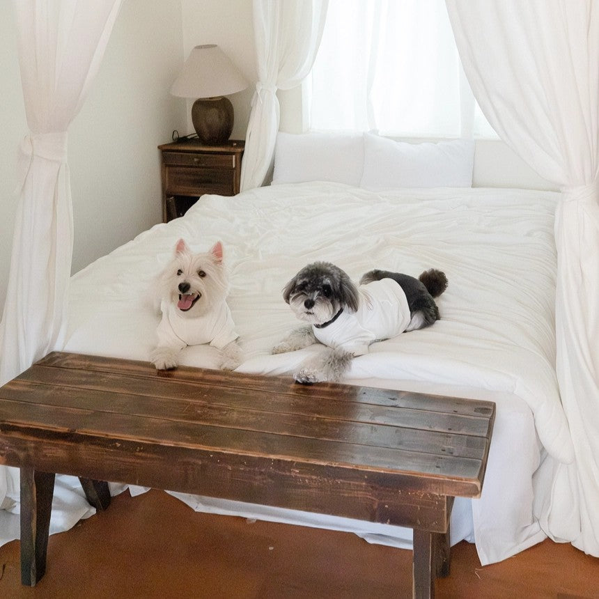 【予約】シグネチャー スウェットシャツ