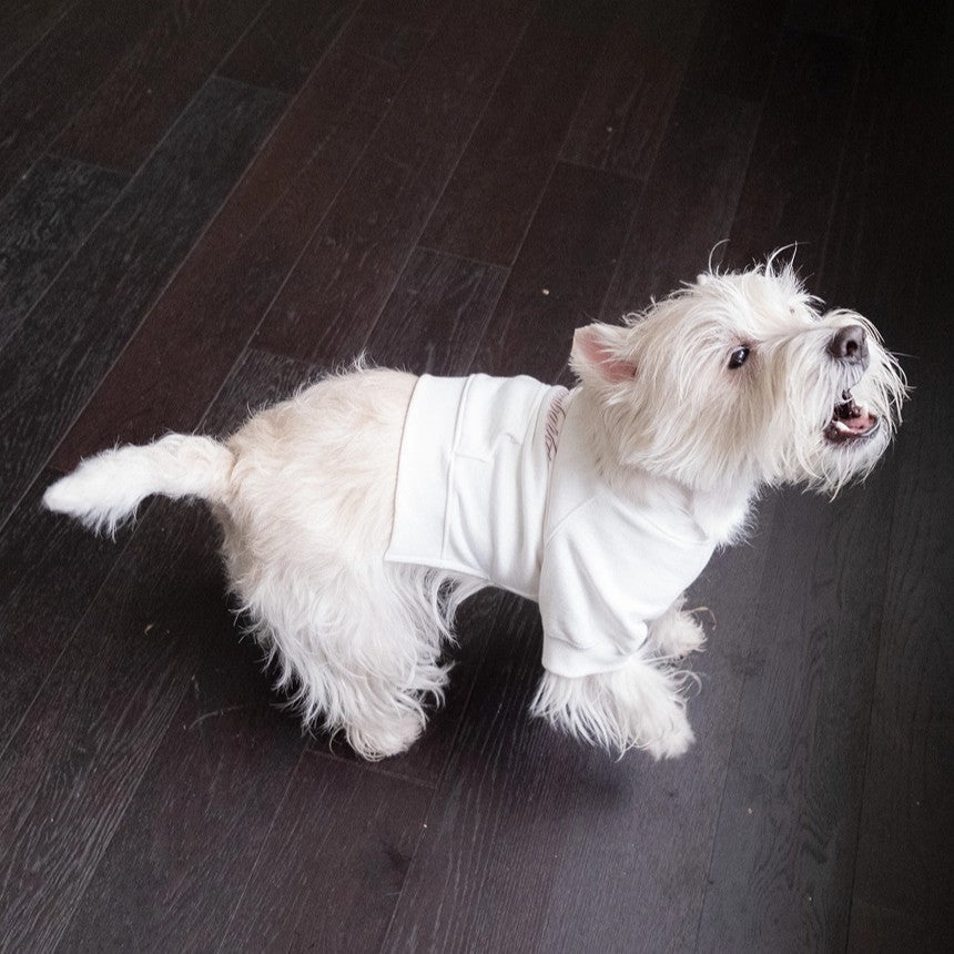 【予約】シグネチャー スウェットシャツ