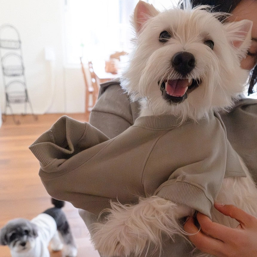 【予約】シグネチャー スウェットシャツ