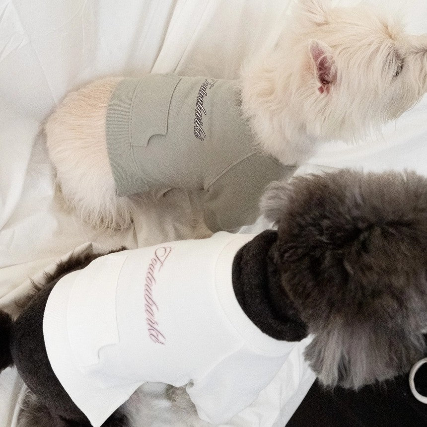 【予約】シグネチャー スウェットシャツ