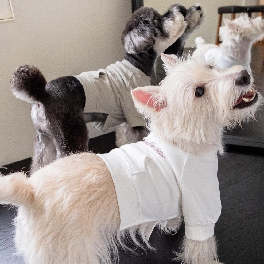 【予約】シグネチャー スウェットシャツ