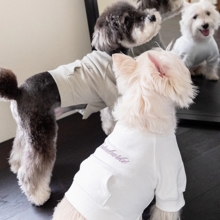 【予約】シグネチャー スウェットシャツ