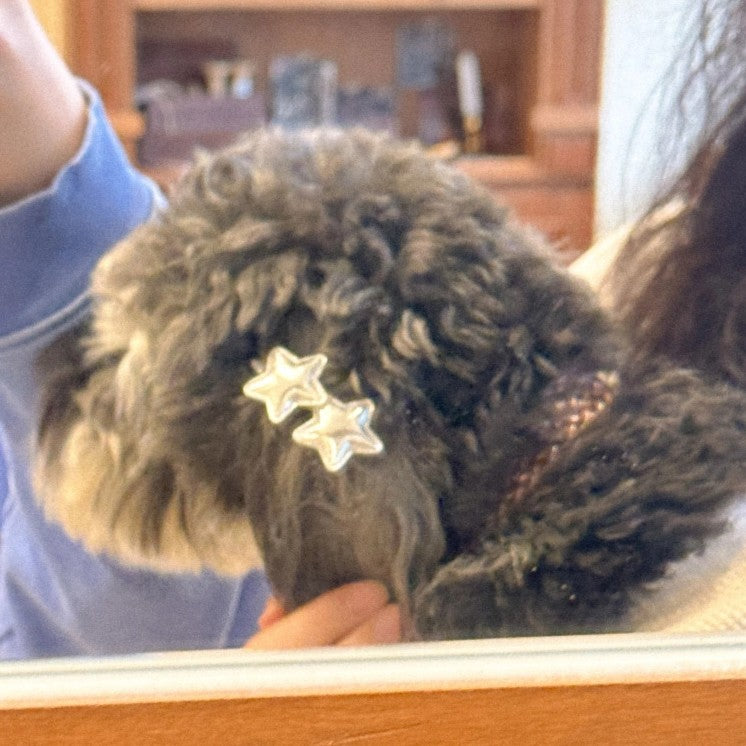 【即納】［ハンドメイド］シルバーエトワールピン（2個セット）