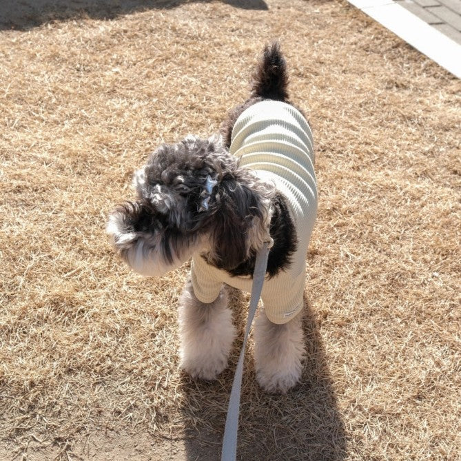 【即納】［ハンドメイド］シルバーエトワールピン（2個セット）