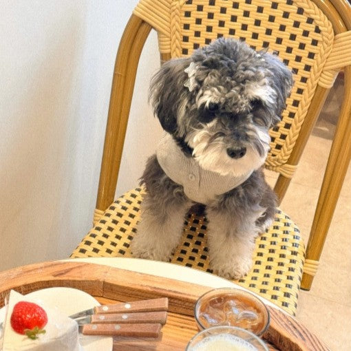 【即納】［ハンドメイド］シルバーエトワールピン（2個セット）