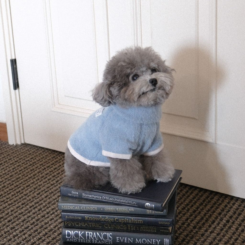 【予約】Snow Fleece Pullover