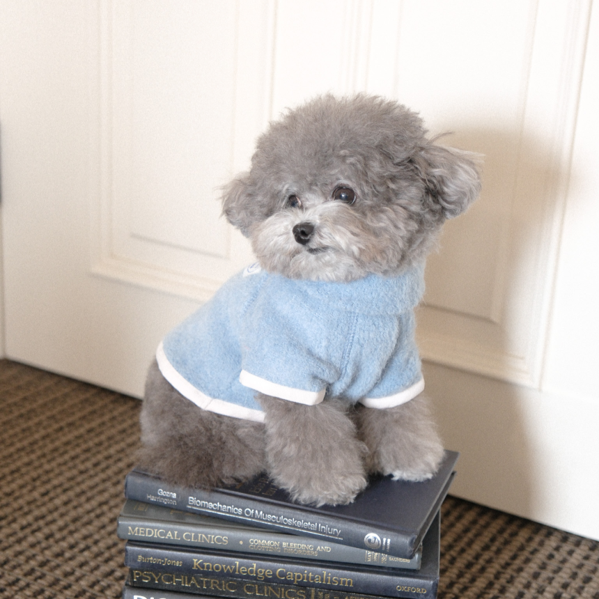 【予約】Snow Fleece Pullover