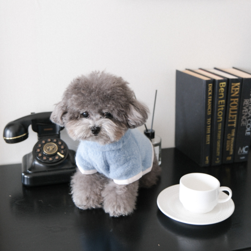 【予約】Snow Fleece Pullover