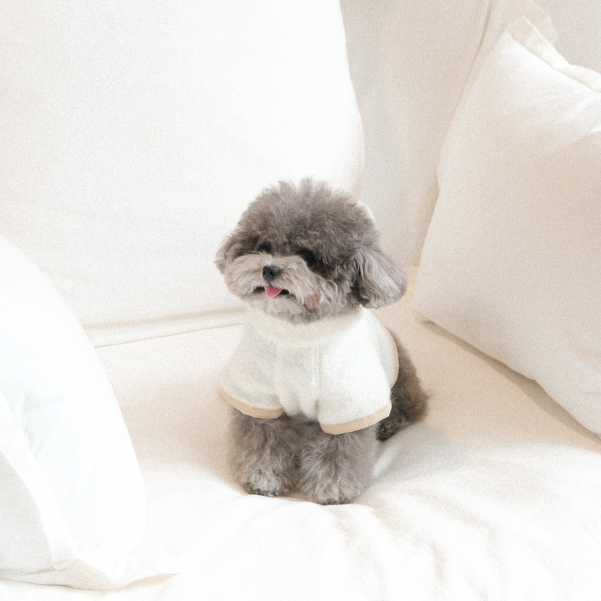 【予約】Snow Fleece Pullover