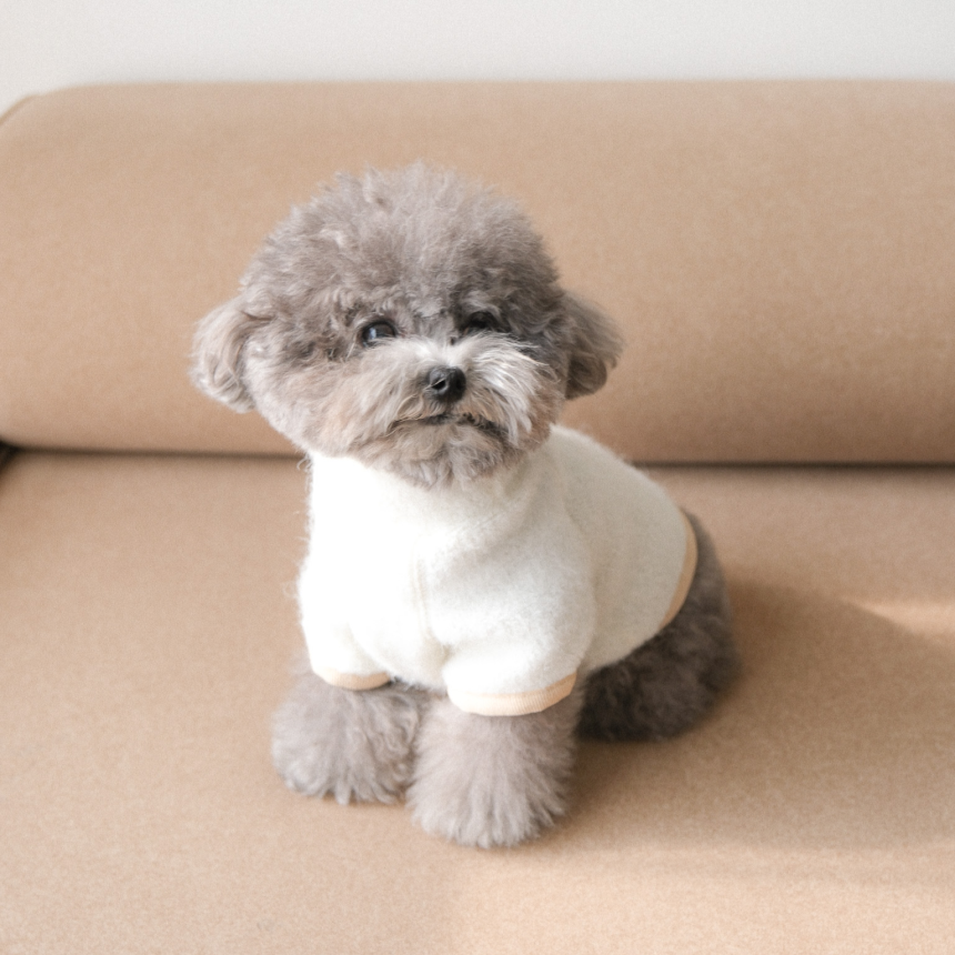 【予約】Snow Fleece Pullover