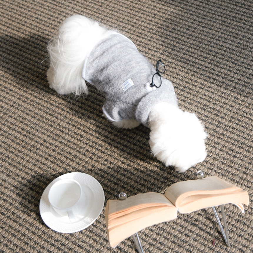 【予約】Snow Fleece Pullover