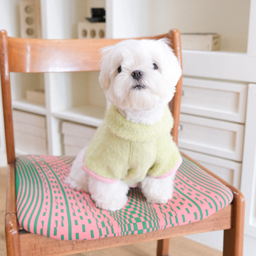 【予約】Snow Fleece Pullover