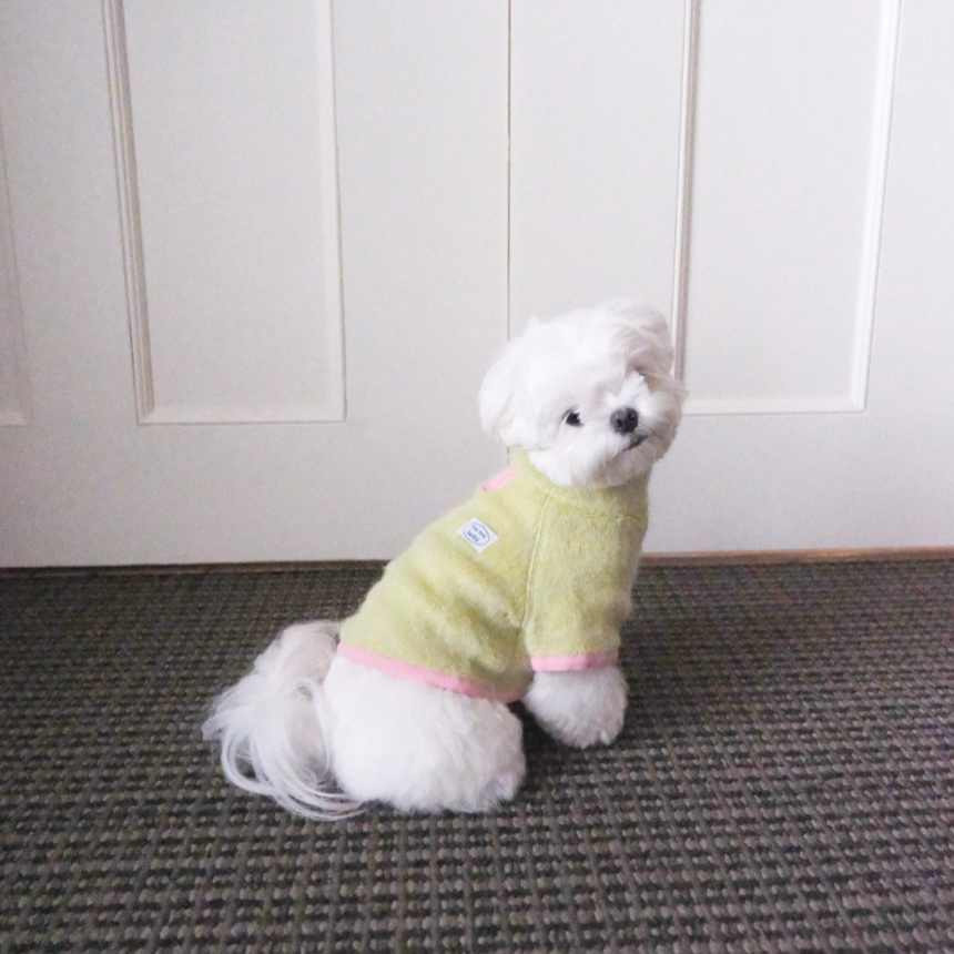 【予約】Snow Fleece Pullover