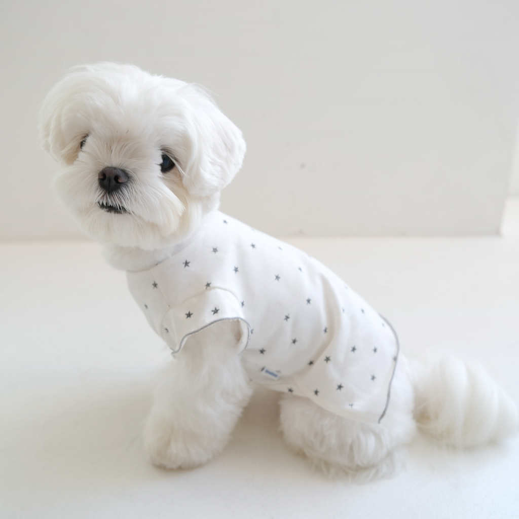 【予約】ステラTシャツ