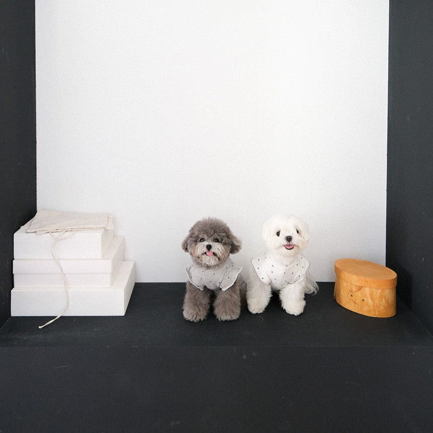 【予約】ステラTシャツ