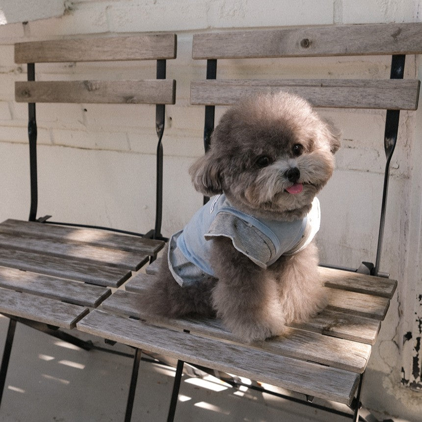 【予約】ステラTシャツ