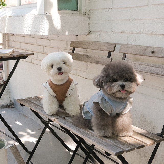 【予約】ステラTシャツ