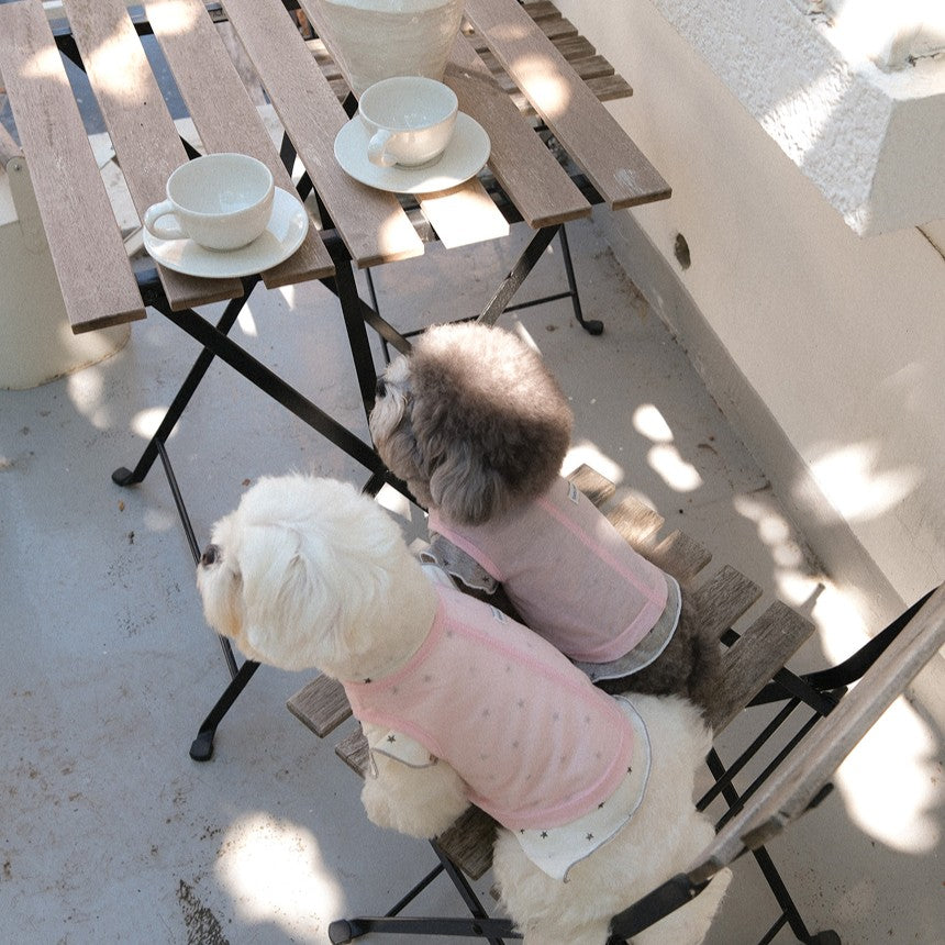 【予約】ステラTシャツ