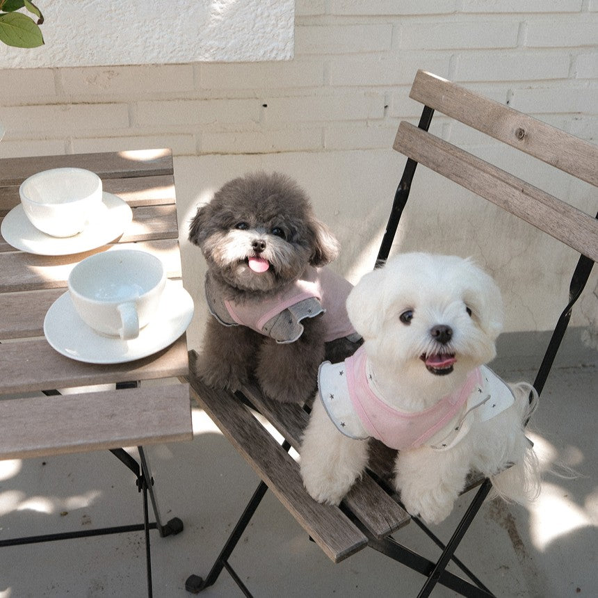 【予約】ステラTシャツ