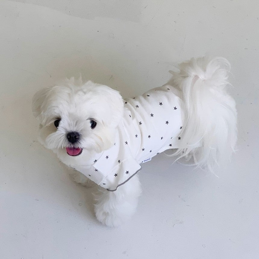 【予約】ステラTシャツ