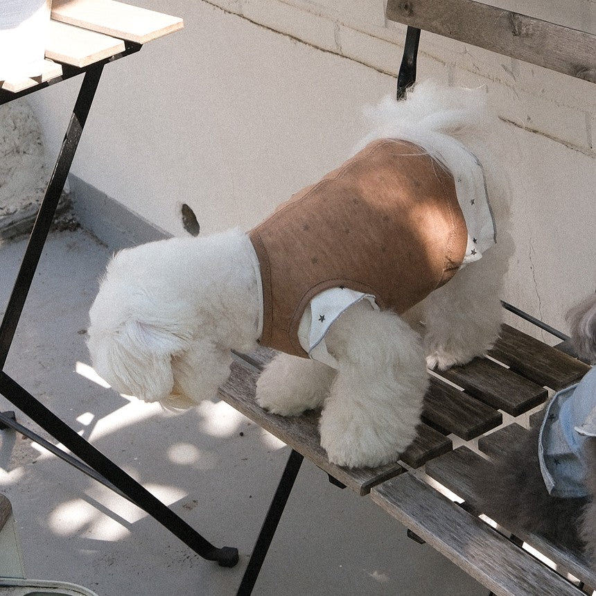 【予約】ステラTシャツ