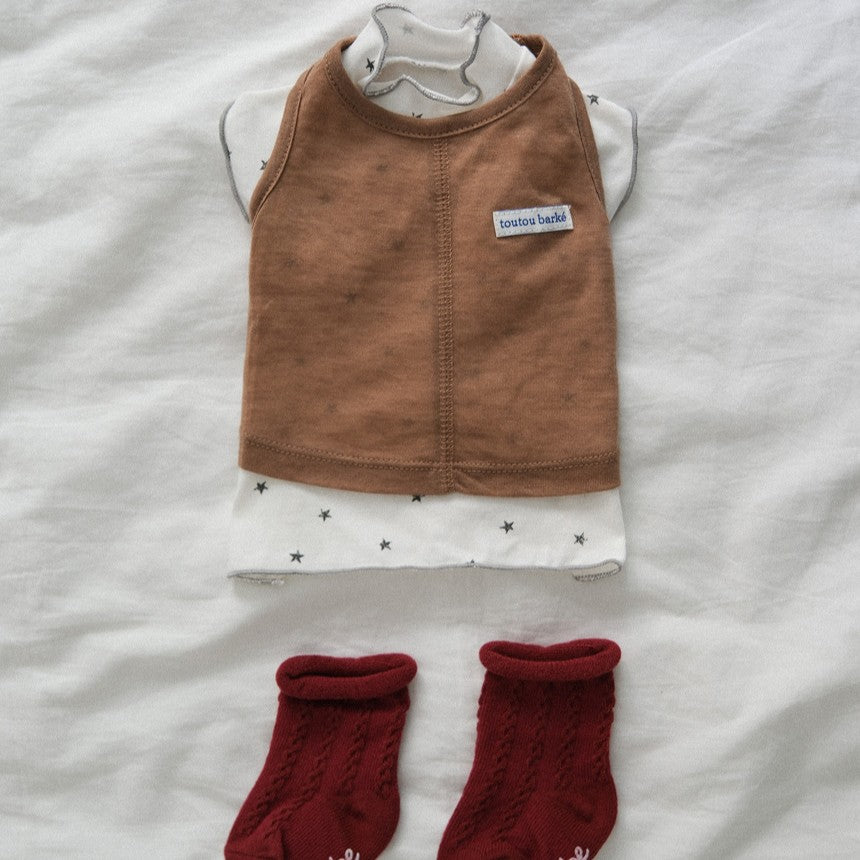 【予約】ステラTシャツ