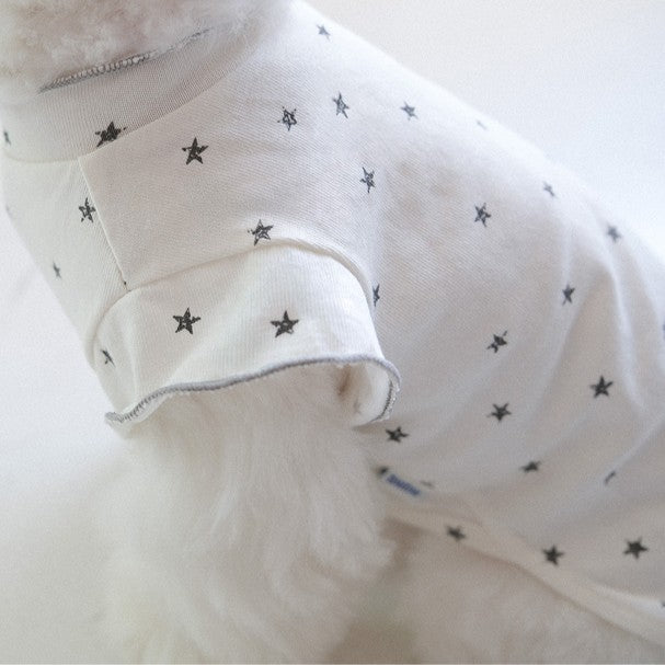 【予約】ステラTシャツ