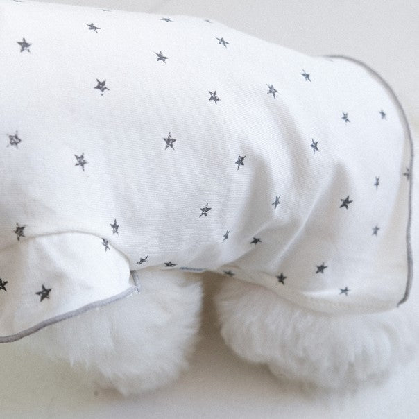 【予約】ステラTシャツ