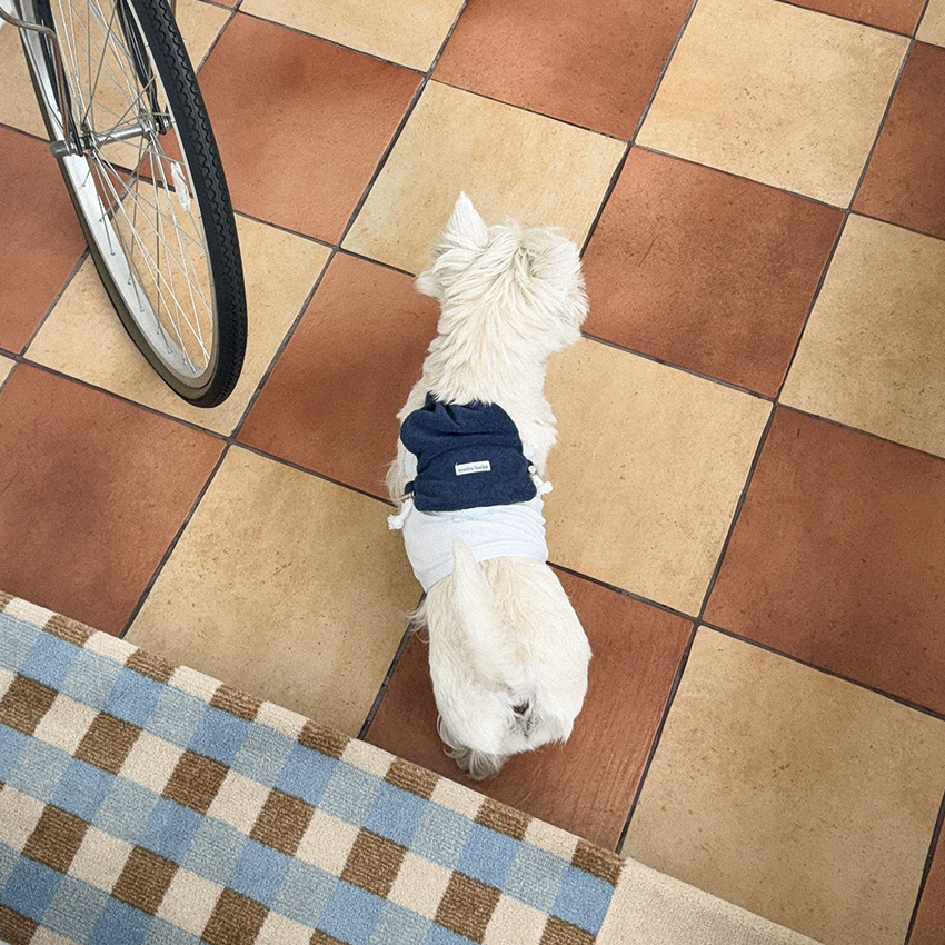 【予約】Terry String Bag (For Pets)