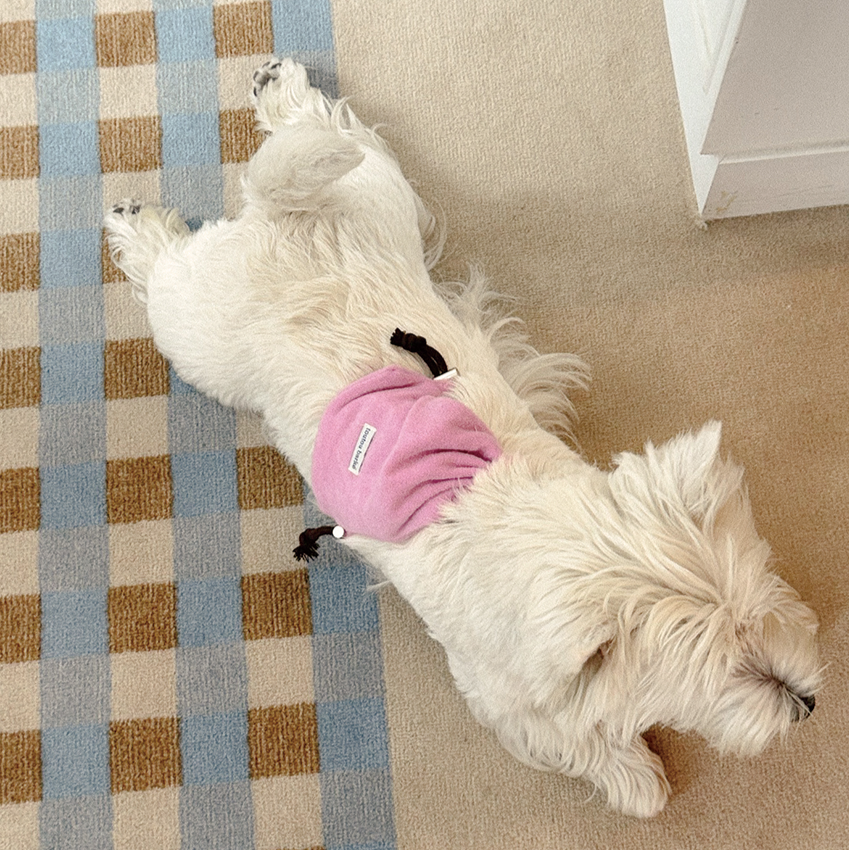 【予約】Terry String Bag (For Pets)