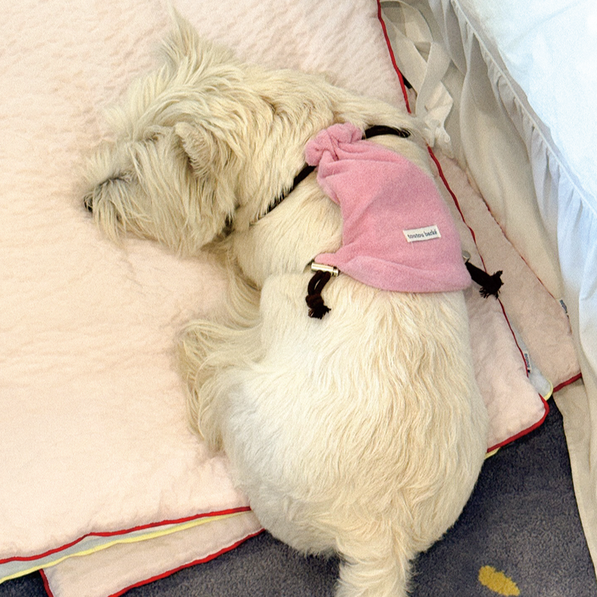 【予約】Terry String Bag (For Pets)