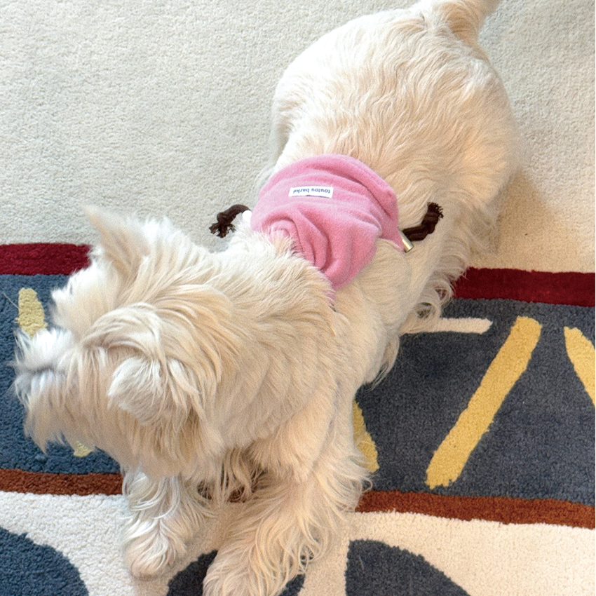 【予約】Terry String Bag (For Pets)