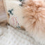 【予約】Snuggle Toggle Jacket