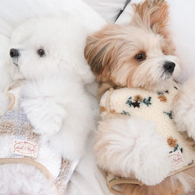 【予約】Snuggle Toggle Jacket