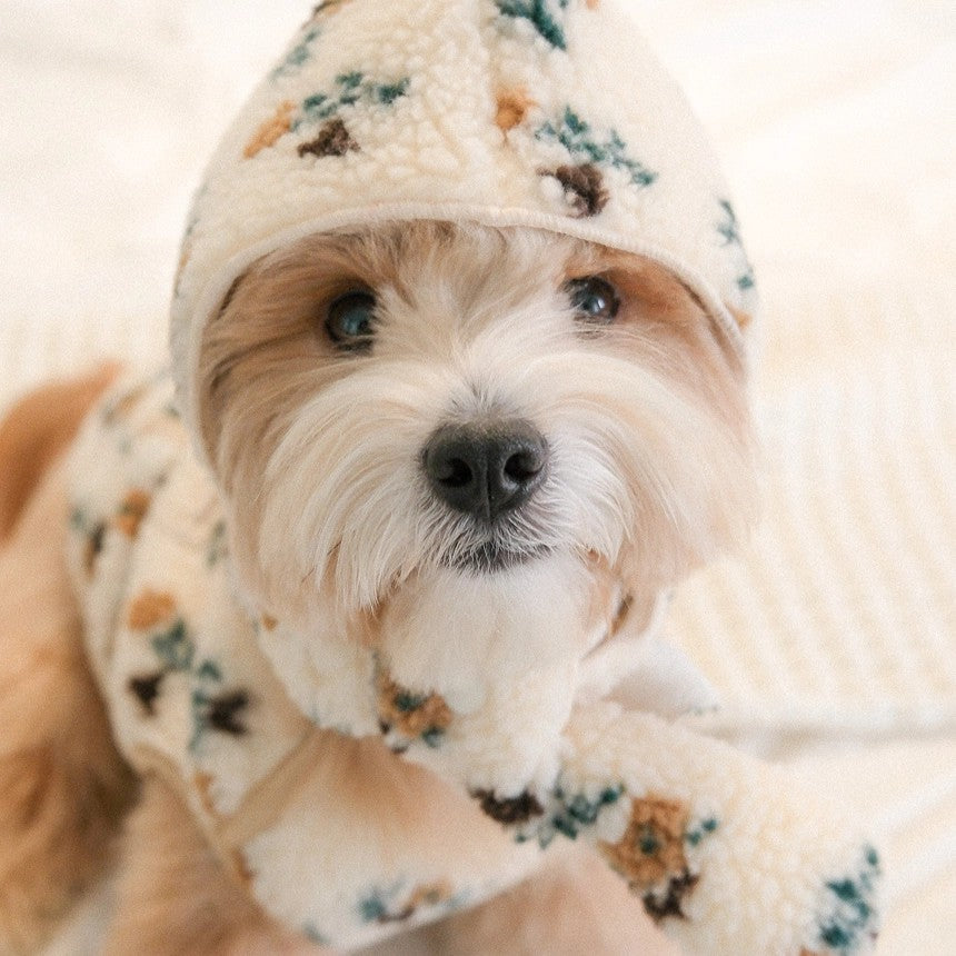 【予約】Snuggle Bonnet