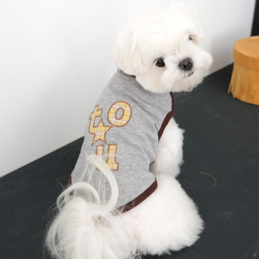 【予約】Vintage letteringer T