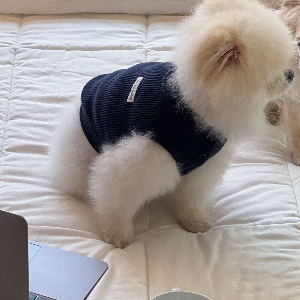 【予約】Waffle Henley Neck