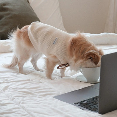 【予約】Waffle Henley Neck