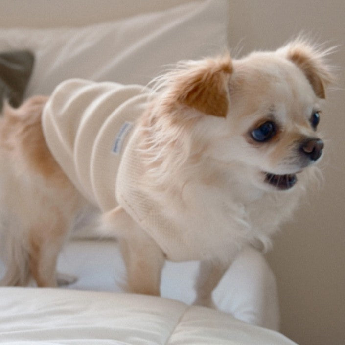 【予約】Waffle Henley Neck