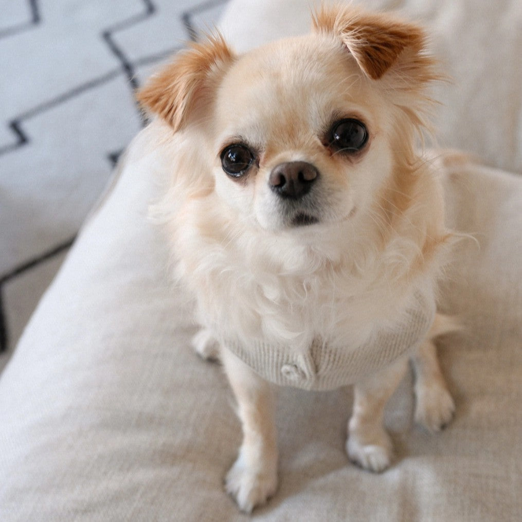 【予約】Waffle Henley Neck