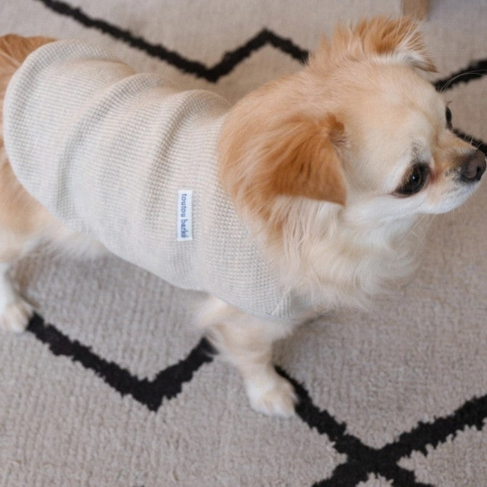 【予約】Waffle Henley Neck